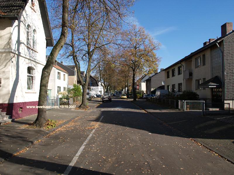 Foto der Linienstr.: Linienstr.