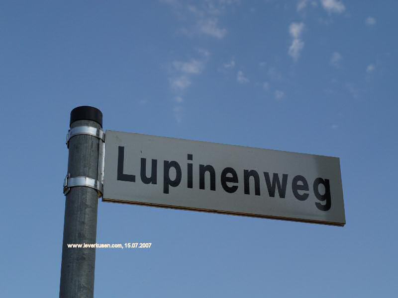 Foto der Lupinenweg: Lupinenweg