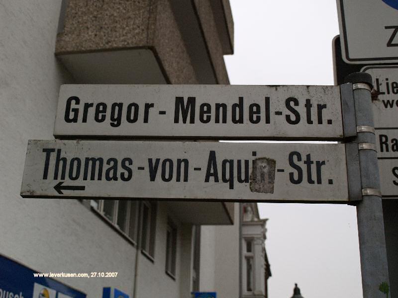 Foto der Gregor-Mendel-Str.: Straßenschild Gregor-Mendel-Str.