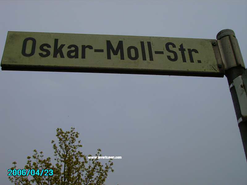 Foto der Oskar-Moll-Str.: Straßenschild Oskar-Moll-Str.