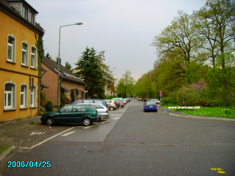 Foto der Paracelsusstr.: Paracelsusstraße