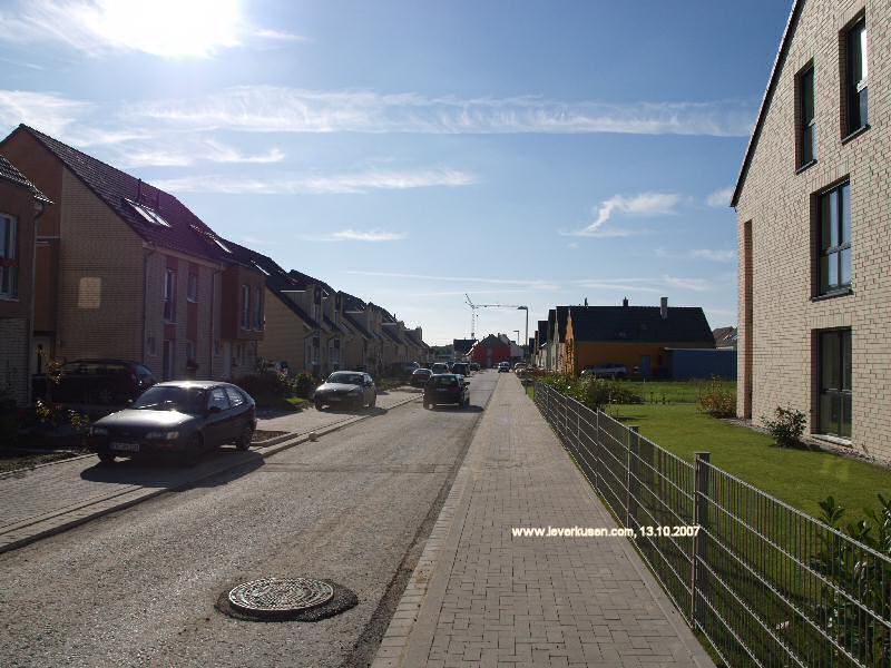 Foto der Salamanderweg: Salamanderweg