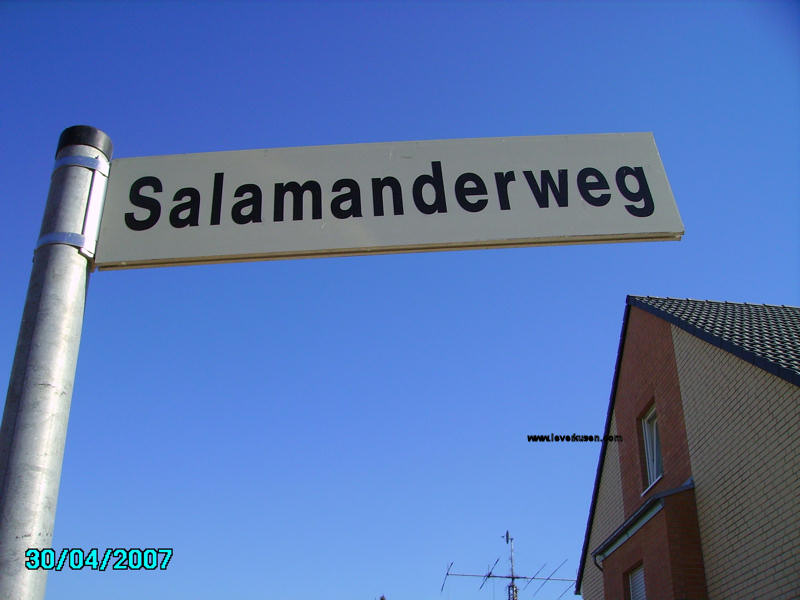 Foto der Salamanderweg: Straßenschild Salamanderweg