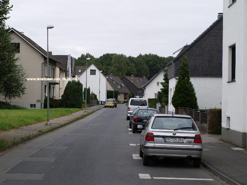 Foto der Stüttekofener Str.: Stüttekofener Str.