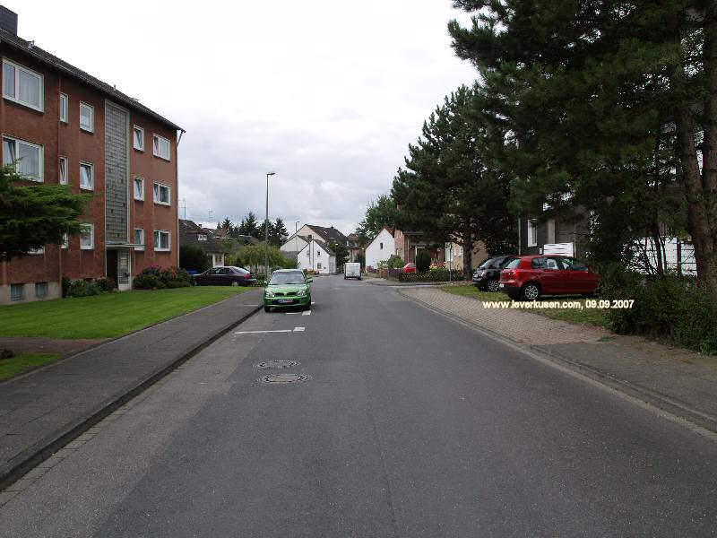 Foto der Stüttekofener Str.: Stüttekofener Str.