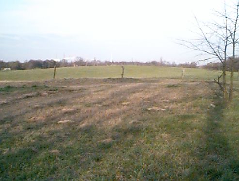 Foto der Dünnwalder Grenzweg: Bullenwiese