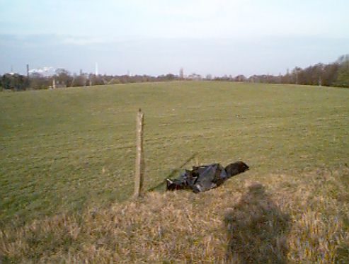 Bullenwiese