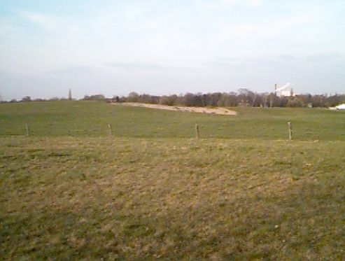 Bullenwiese