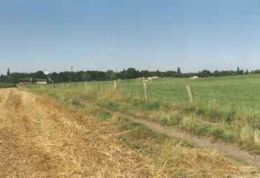 Neuenhaus (10 k)