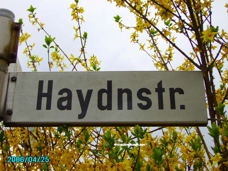 Foto der Haydnstr.: Straßenschild Haydnstraße