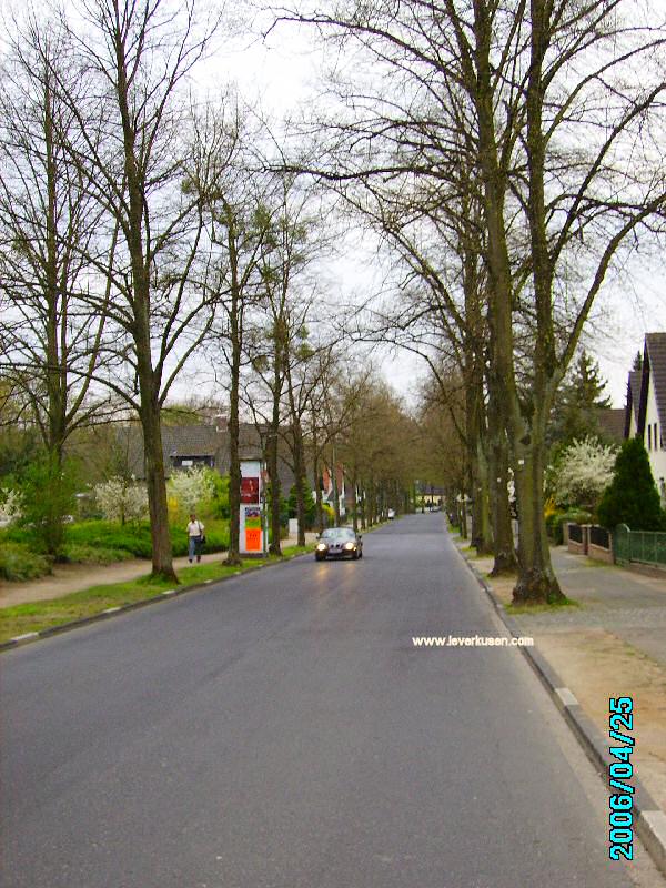 Foto der Saarstraße: Saarstraße Foto der Saarstraße: Saarstraße