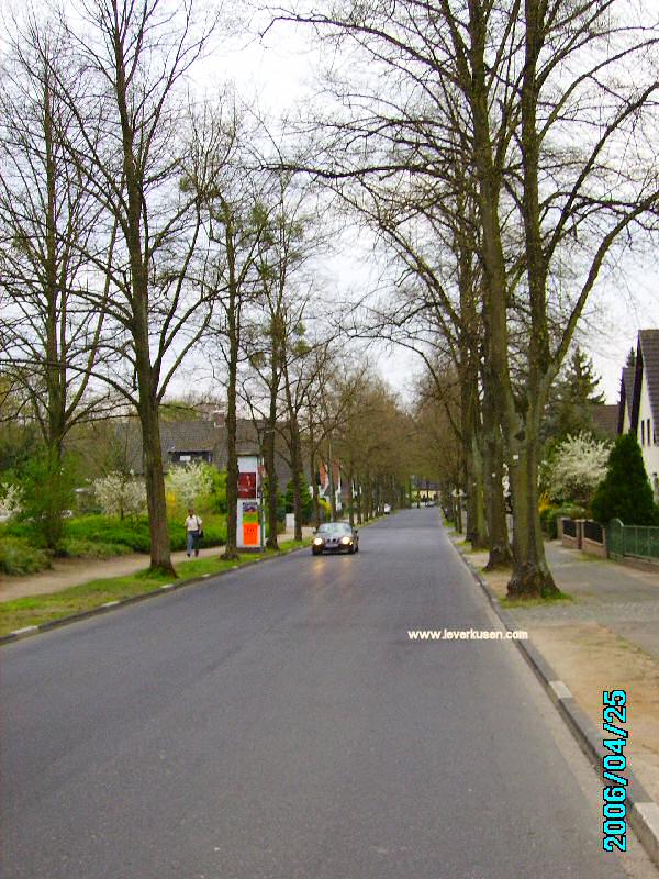 Foto der Saarstraße: Saarstraße