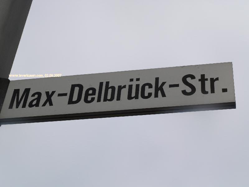 Foto der Max-Delbrück-Str.: Straßenschild Max-Delbrück-Str.
