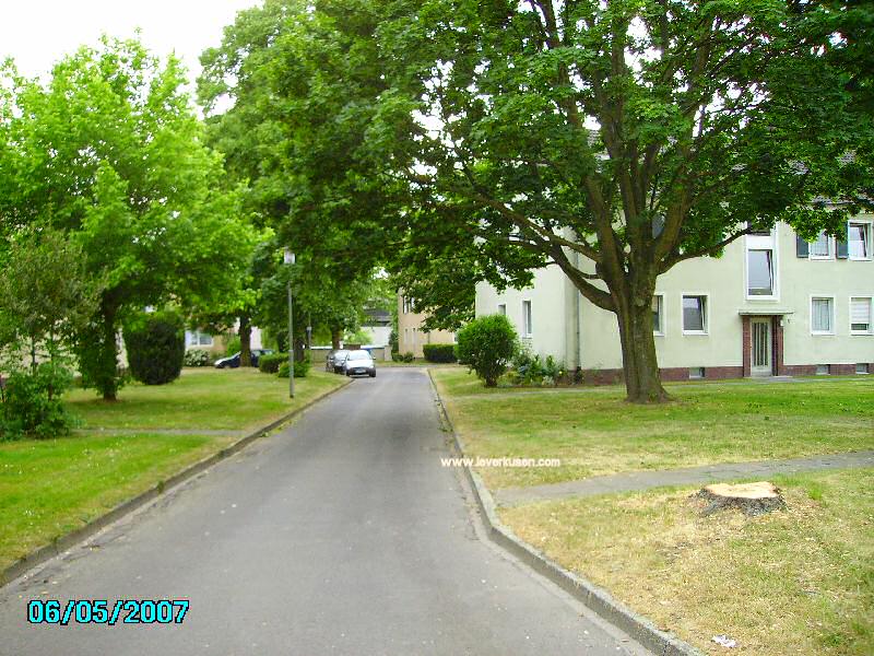 Foto der Hallesche Str.: Hallesche Straße