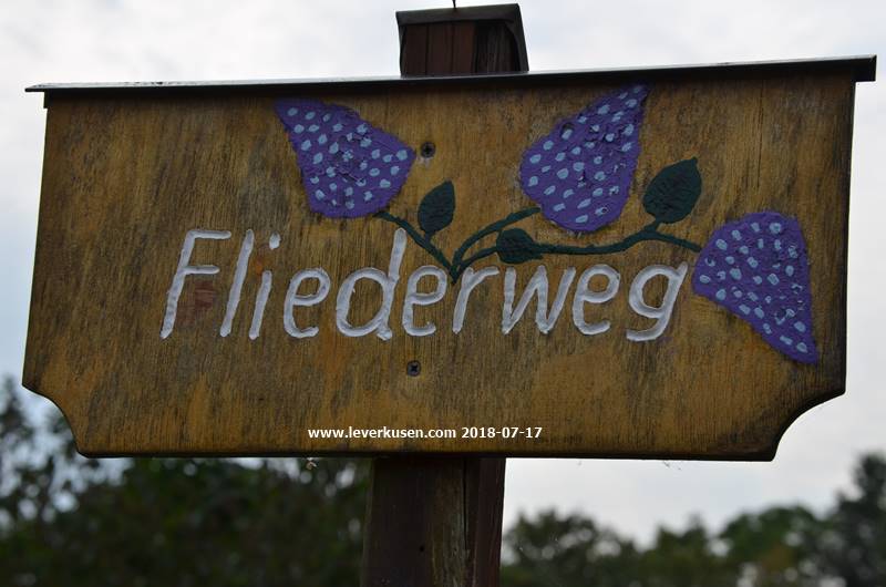 Kleingarten Heidehöhe, Fliederweg