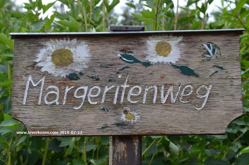Kleingarten Heidehöhe, Margaritenweg