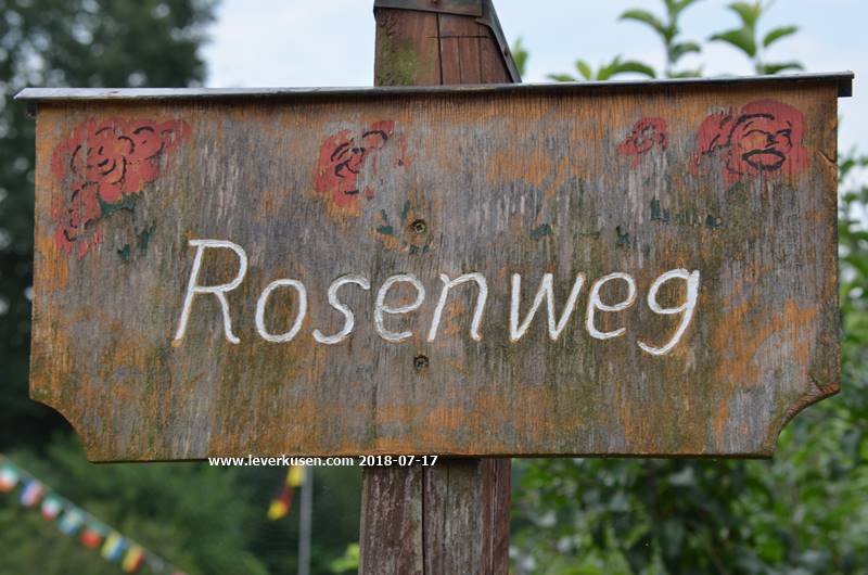 Kleingarten Heidehöhe, Rosenweg