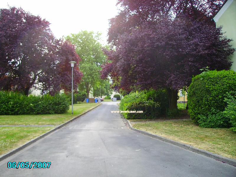 Foto der Rostocker Str.: Rostocker Straße