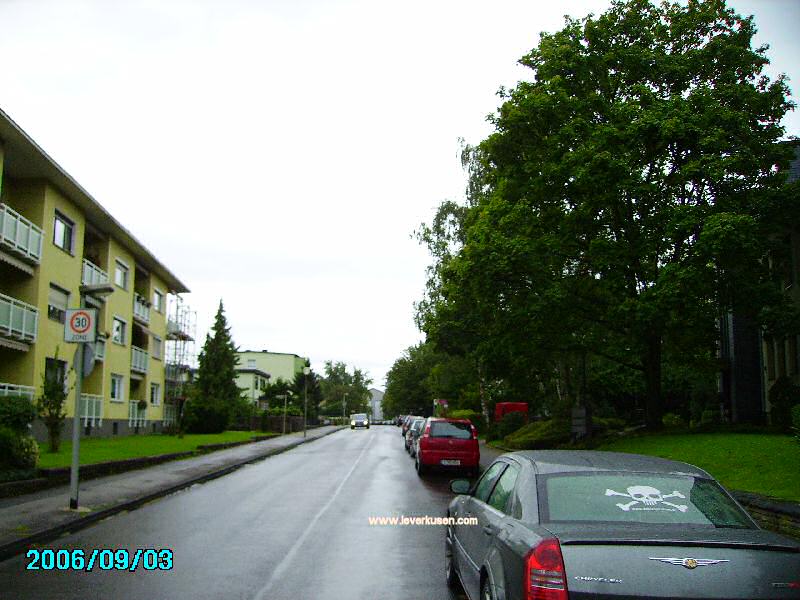 Foto der Stegerwaldstr.: Stegerwaldstr.