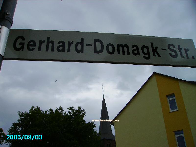 Straßenschild Gerhard-Domagk-Straße