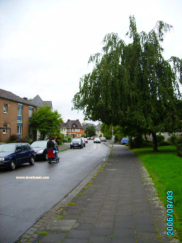 Foto der Körnerstr.: Körnerstr.