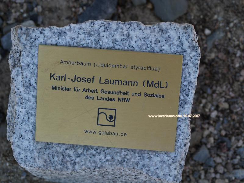 Laga-Baumpate: Laumann (Schild)