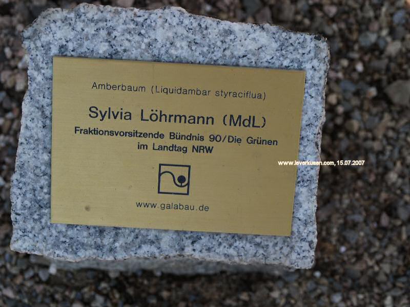 Laga-Baumpate: Löhrmann (Schild)