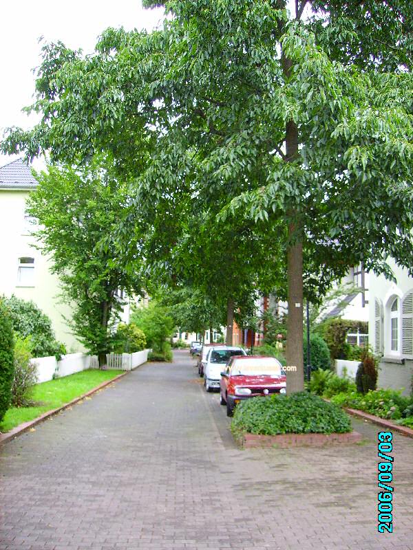 Foto der Viktor-Meyer-Str.: Viktor-Meyer-Straße