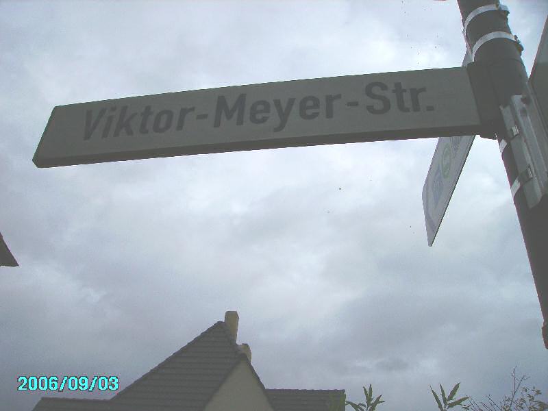 Straßenschild Viktor-Meyer-Straße