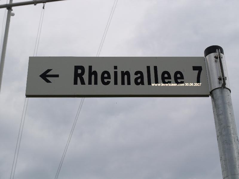 Foto der Rheinallee: Straßenschild Rheinallee