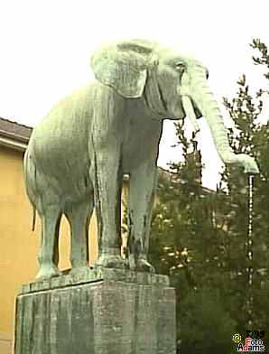 Foto der Havensteinstr.: Elephant
