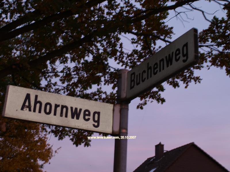 Foto der Ahornweg: Straßenschild Ahornweg