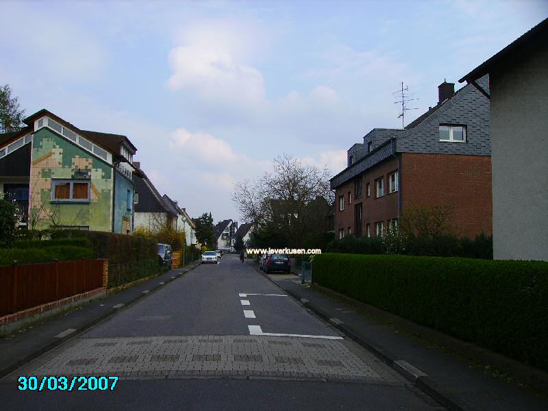 Foto der Damaschkestr.: Damaschkestraße