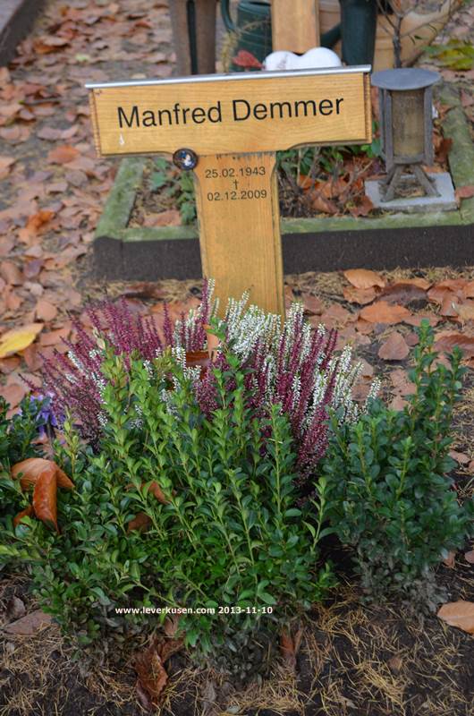 Friedhof_Friedhof Reuschenberg, Grab Demmer