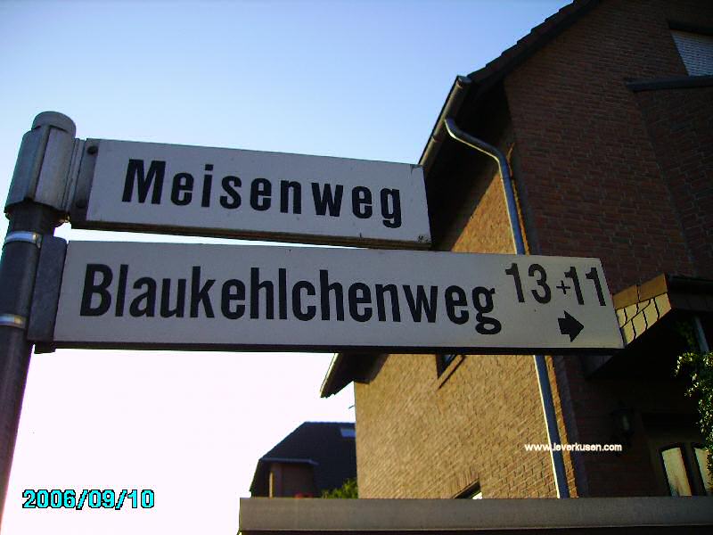 Foto der Meisenweg: Straßenschild Meisenweg