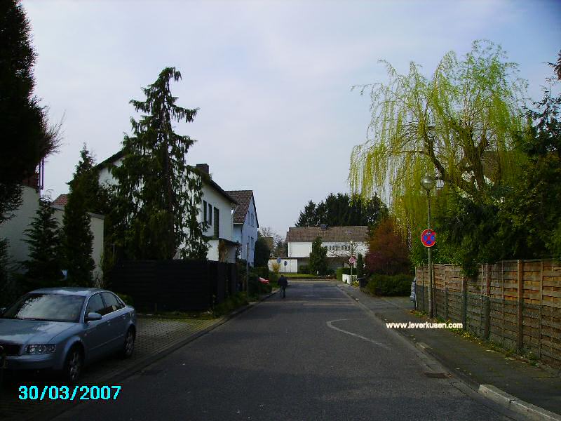 Foto der Friedrich-Naumann-Str.: Friedrich-Naumann-Straße