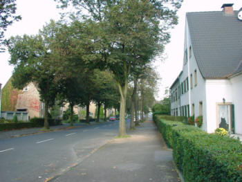 Neuenhof02.jpg