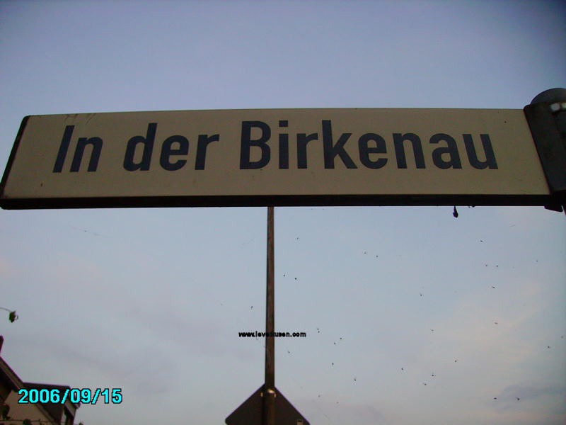 Foto der In der Birkenau: Straßenschild In der Birkenau