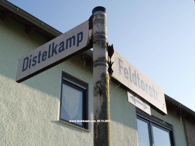 Foto der Distelkamp: Straßenschild Distelkamp