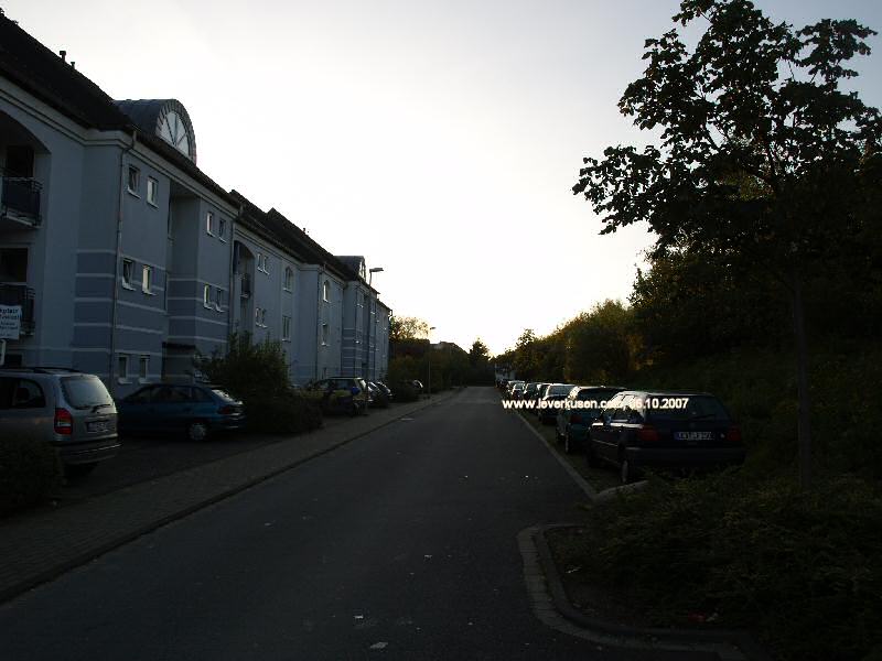 Foto der Nelly-Sachs-Str.: Nelly-Sachs-Straße