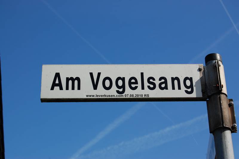 Foto der Am Vogelsang: Am Vogelsang, Straßenschild