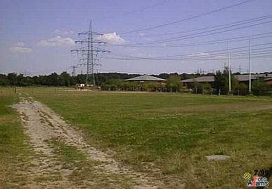 Butterheide, Feld