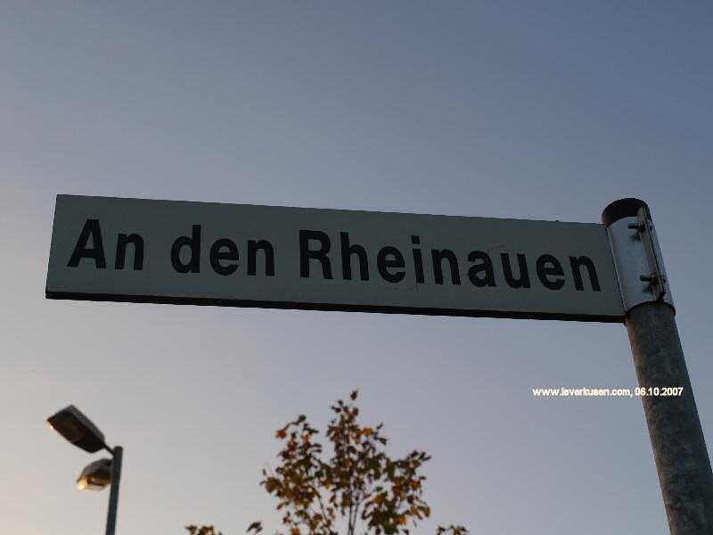Foto der An den Rheinauen: Straßenschild An den Rheinauen