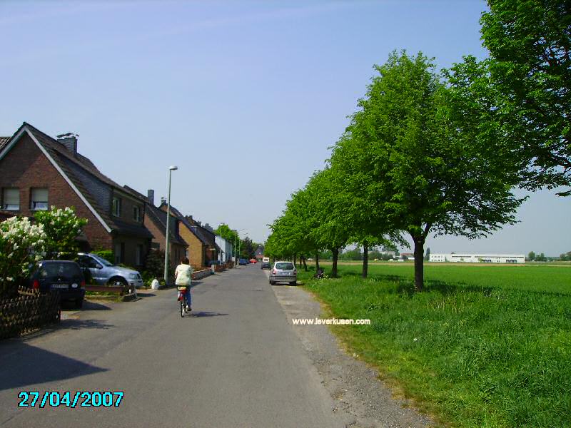 Foto der Ringstraße: Ringstraße