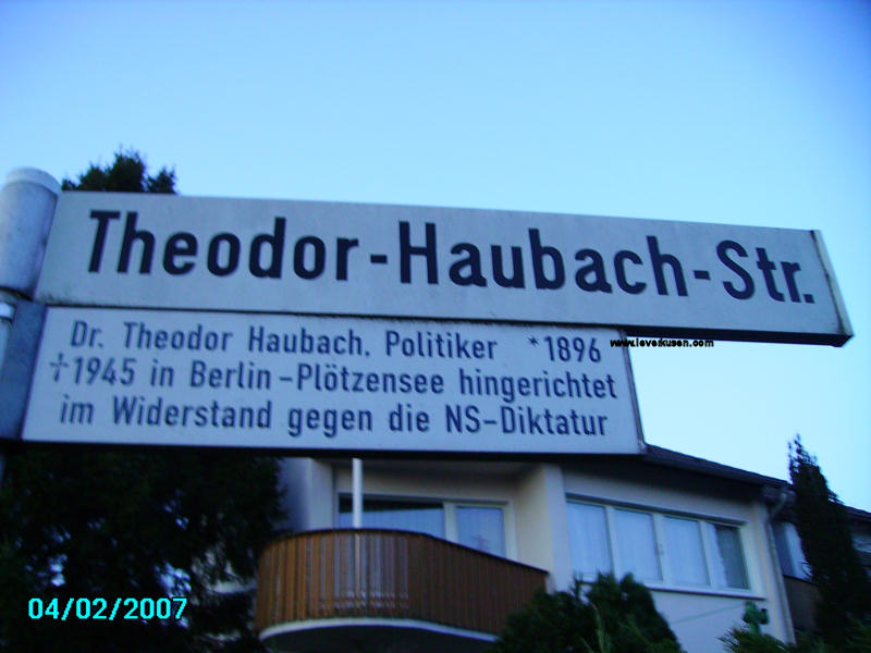 Foto der Theodor-Haubach-Str.: Straßenschild Theodor-Haubach-Straße