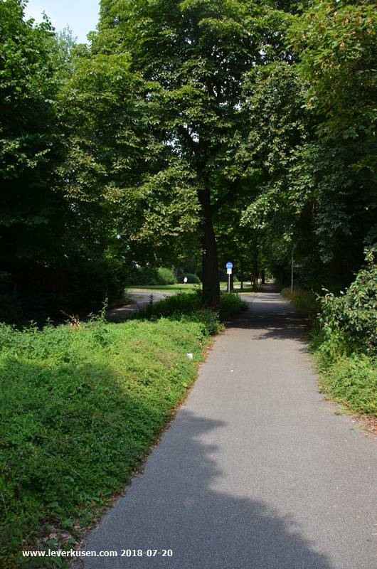 Kastanienallee