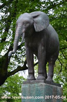 Ein besonderer Elefant (56 k)