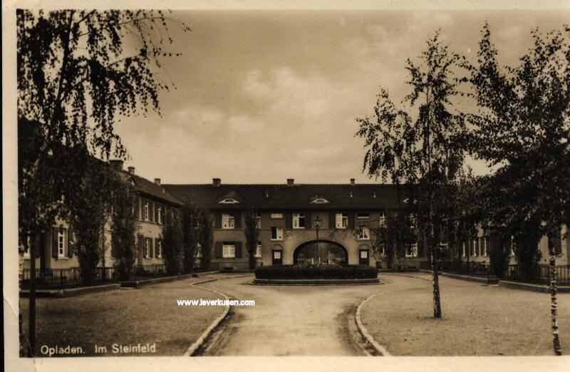 Foto der Im Steinfeld: Max-Holthausen-Platz