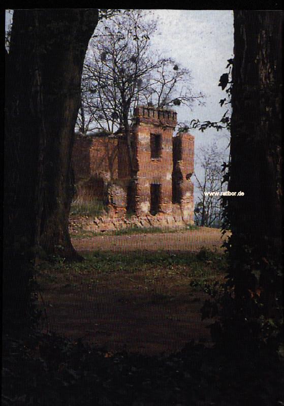 Schloßruine in Lubowitz