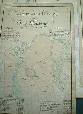 Umgebung von Schloß Morsbroich (14 k)